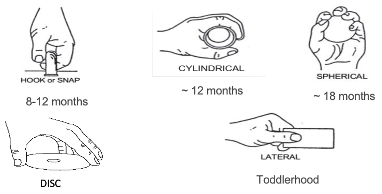 <ul><li><p>hook or snap</p></li><li><p>cylindrical </p></li><li><p>spherical </p></li><li><p>disc</p></li><li><p>lateral </p></li></ul><p></p>