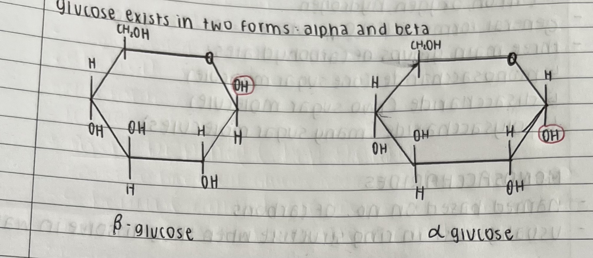 <p>alpha and beta</p>