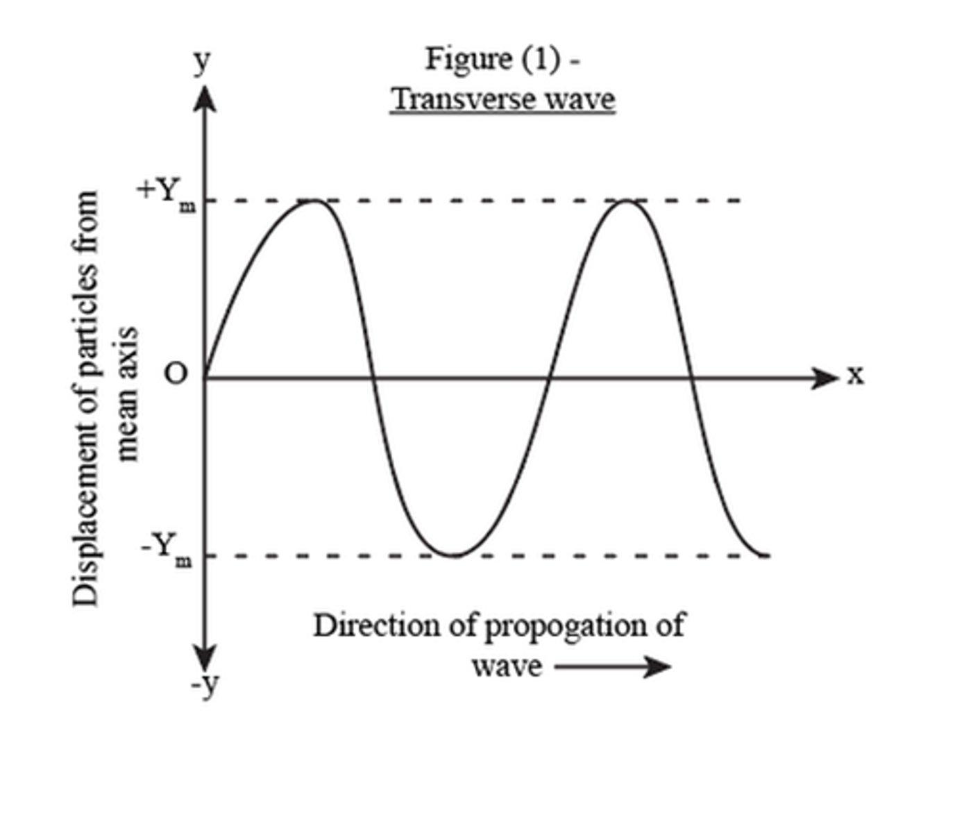 <p>This shows how a particle will be displaced as a transverse wave moves across the medium.</p>