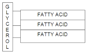 <p>lipid made of what?</p>