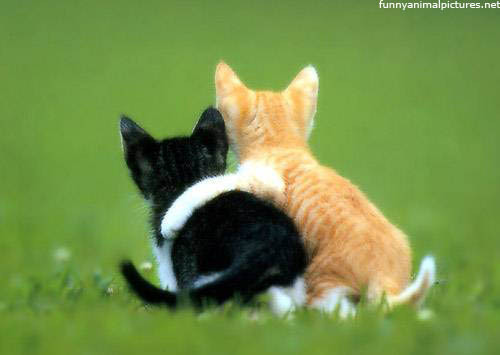 (adj. to be) close (friends)