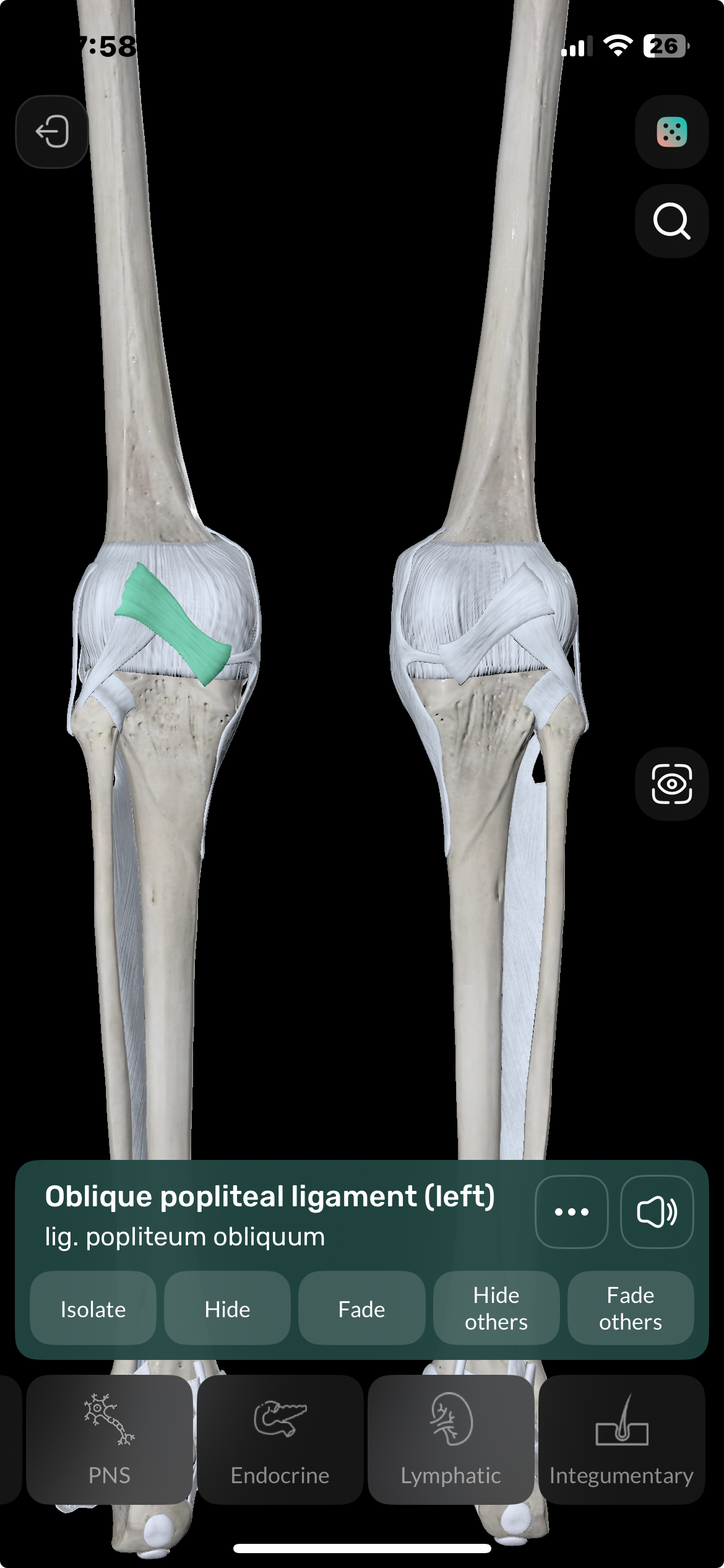 term image
