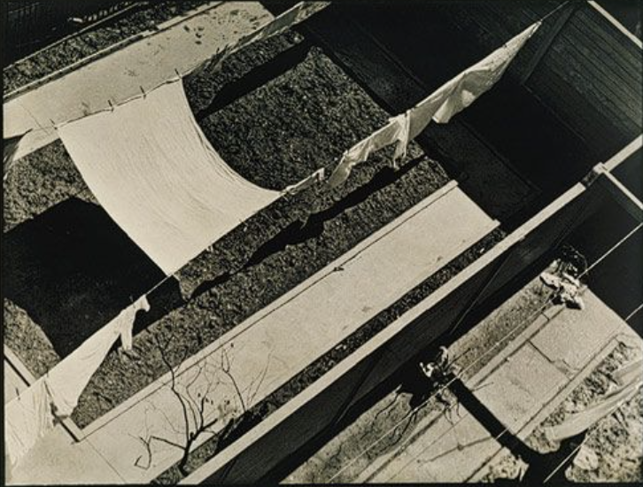 <p>Paul Strand</p>