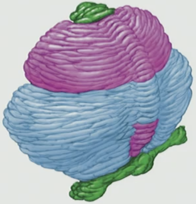<p>2, 3</p>