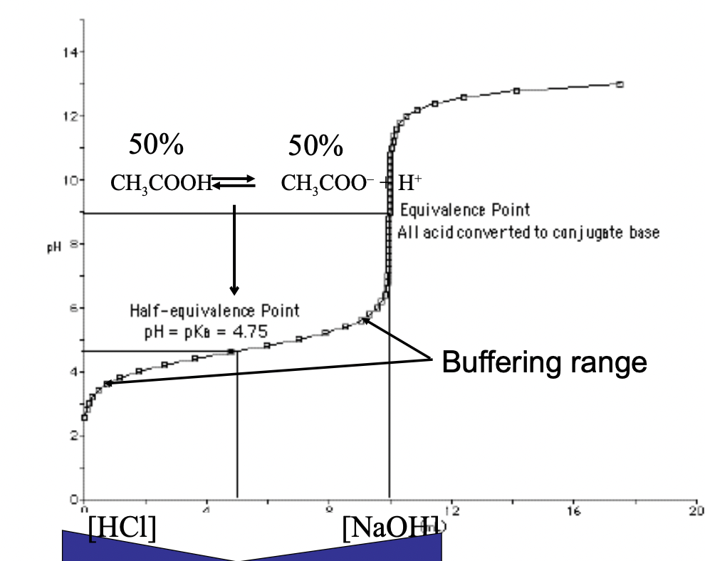 <ul><li><p>Need equal amounts of a weak acid and its conjugate base to reach the half-equivalence point (just means 50% of each at this point)</p></li><li><p>Now, adding H+ or OH- will not change much as it pushes the reaction left or right</p></li><li><p>Ex. Adding more H+ reacts withe acetate (CH3COO-) to form morn acetic acid, which removes the H+ in solution</p></li><li><p>Then, adding OH- will react with H+ to form water, and the acid can dissociate adding more H+ back to solution, to balance everything out</p></li></ul>