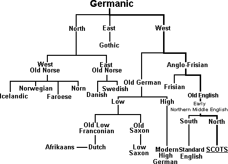 <p>A collection of languages within a family related through a common ancestor that existed several thousand years ago. That evolved into individual languages.</p>