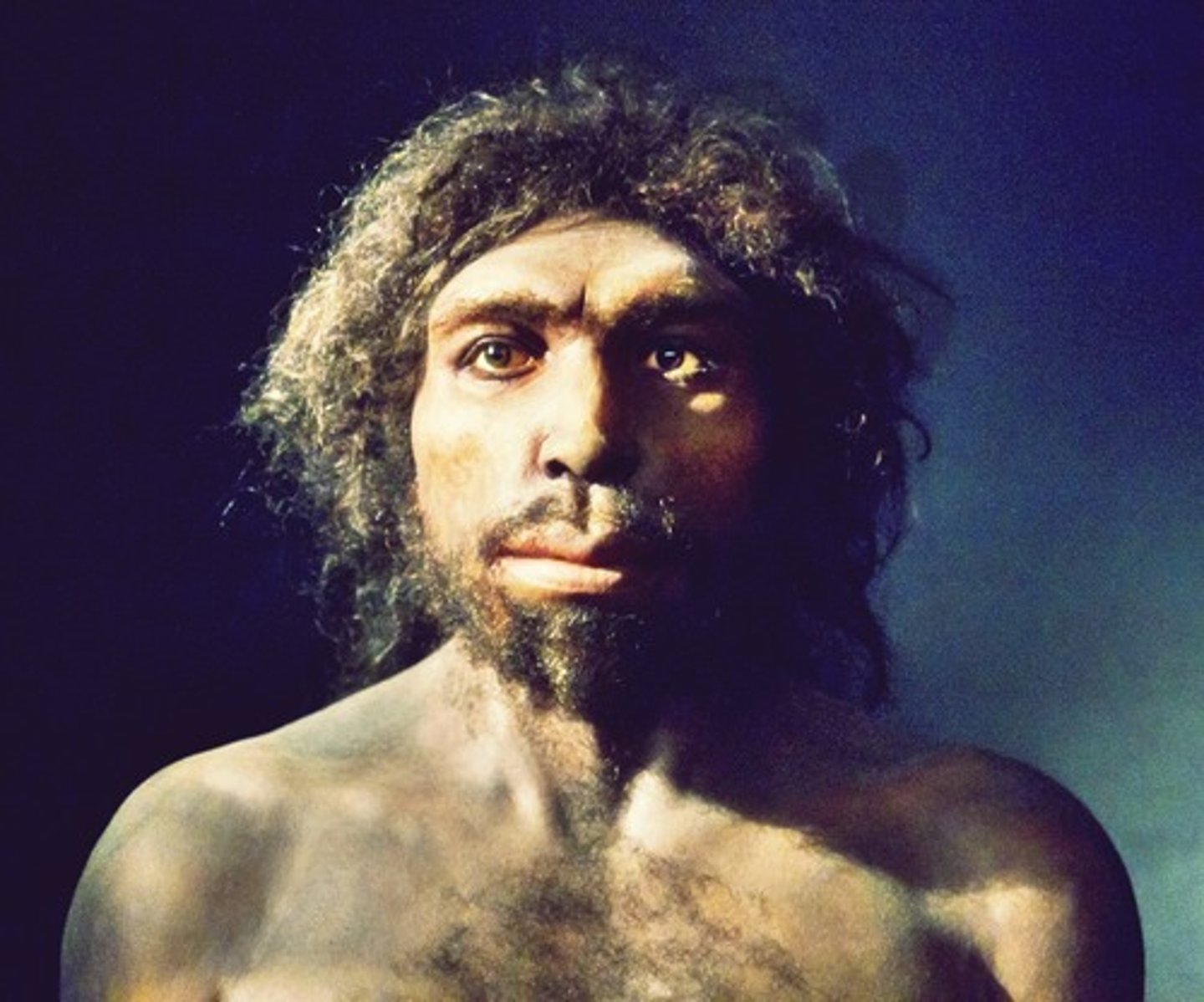 <p>Spain, 1.2 MYA-800KYA, first hominin in europe</p>