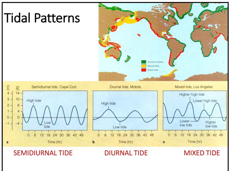 <p>semidiurnal tide, diurnal tide and mixed tide</p>