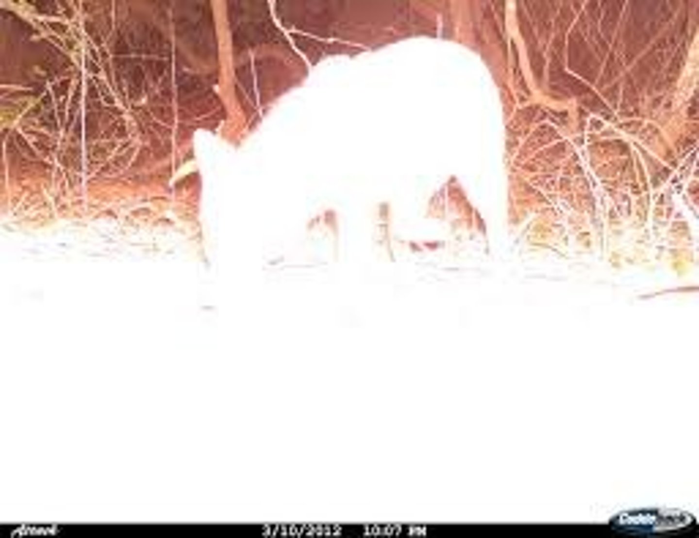 <p>Allowing too much light into your camera for your photograph. Your photo will be too light or white.</p>