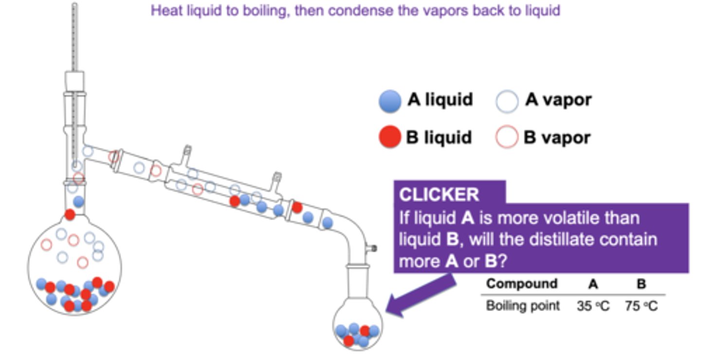 <p>A, has lower bp so goes through first</p>