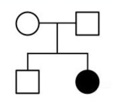 <p><span style="color: blue">The following pedigree could represent</span><span style="color: blue"><br></span><span style="color: blue">the mode of inheritance of an autosomal</span><span style="color: blue"><br></span><span style="color: blue">dominant trait</span><span style="color: blue"><br></span><span style="color: blue">A. True</span><span style="color: blue"><br></span><span style="color: blue">B. False</span></p>