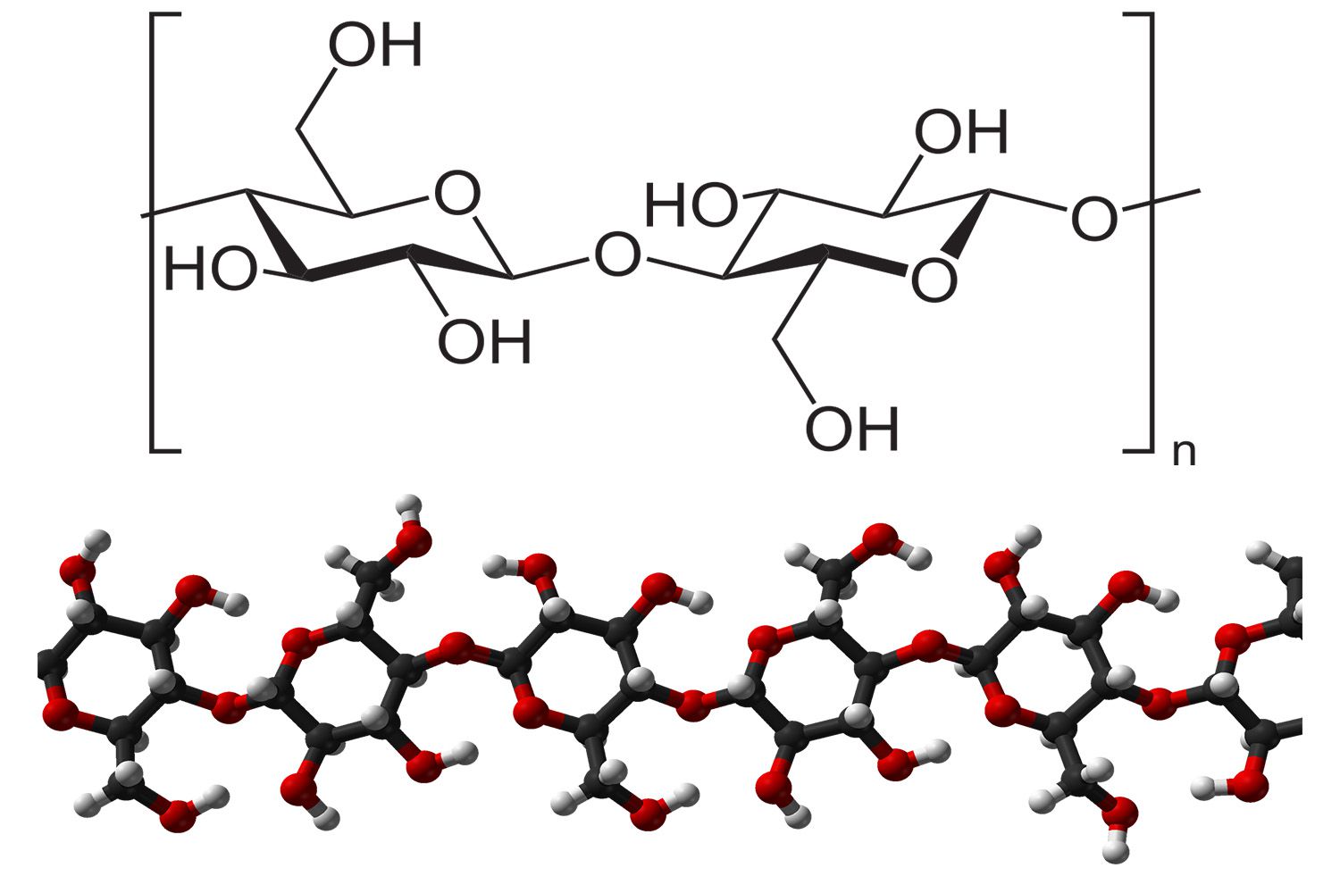 <p>cellulose</p>