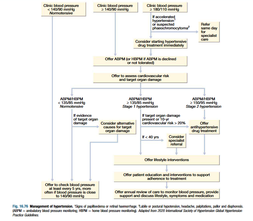 <p>Intervention thresholds:</p><ul><li><p>Based on systolic and diastolic BP</p></li><li><p>Patients with diabetes or cardiovascular diease have lower threshold</p></li><li><p>Optimum BP for reduction of major cardiovascular events = 139/83 mmHg (lower in diabetic patients)</p></li></ul><p>Non-drug therapy:</p><ul><li><p>Lifestyle changes: useful in those with borderline hypertension</p></li><li><p>Correcting obesity, reducing alcohol intake, restricting salt intake, regular exercise and increasing consumption of fruits and veggies</p></li><li><p>Stopping smoking, eating oily fish and maintaining diet low in saturated fat</p></li></ul><p>Drug therapy:</p><ul><li><p>Thiazides: 2.5 mg bendroflumethiazise or 0.5 mg cyclopenthiazide daily</p></li><li><p>ACE inhibitors: enalapril 5-40 mg daily, or ramipril 5-10 mg daily or lisinopril 10-40 mg daily (may precipitate renal failure in patients with renal artery stenosis)</p></li><li><p>ARBs: irbesartan 75-300 mg daily or valsartan 40-160 mg daily</p></li><li><p>Calcium channel antagonists: amlodipine 5-10 mg daily or nifedipine 30-90 mg daily (particularly useful in older people)</p></li><li><p>Beta-blockers: no longer first line therapy (unless patient has angina). Metoprolol 100-200 mg daily, atenolol 50-100 mg daily or bisoprolol 5-10 mg daily</p></li><li><p>Combined beta and alpha blockers: labetalol 200 mg-2.4 g daily in divided doses or carvedilol 6.25-25 mg daily</p></li><li><p>Other vasodilators: prazosin 0.5-20 mg daily in divided doses, indoramin 25-100 mg twice daily or doxazosin 1-16 mg daily</p></li><li><p>Aspirin</p></li><li><p>Statins: patients with established vascular disease or hypertension with high risk of developing cardiovascular disease</p></li></ul><p></p>