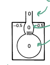 <ul><li><p>Thorax: small negative</p></li><li><p>Alveoli: 0</p></li><li><p>Intra: 0</p></li><li><p>Extra: 0</p></li></ul><p>Negative all the way through means no air movement, slight negative to keep the elastic components of the RT dilated</p>
