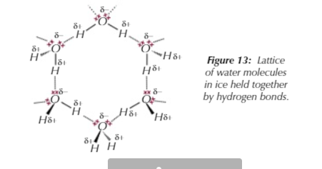 <p>…because hydrogen bonds cover a longer distance in ice form than liquid</p>