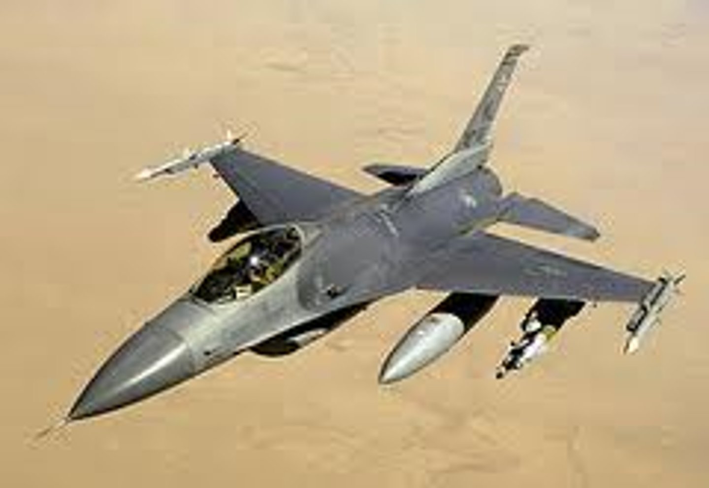 <p>1 engine, 1 vertical stabilizer, Mutli-role fighter</p>