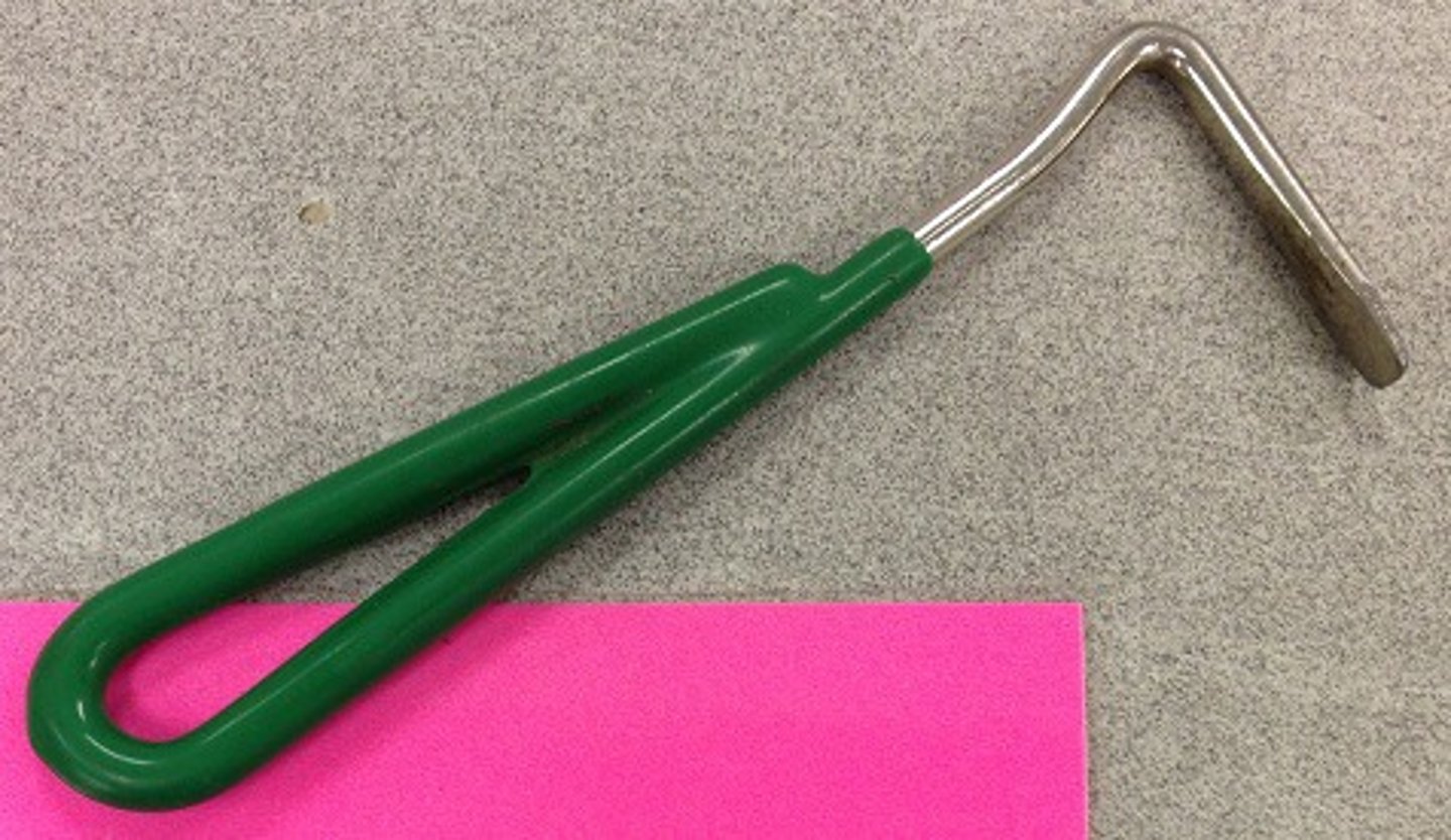 <p>Tool used to clean out a horse's hoof</p>