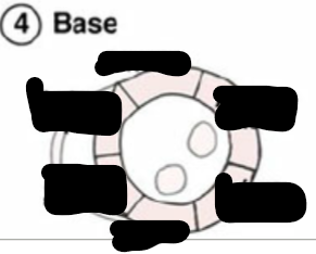 <p>Identify this image. </p>