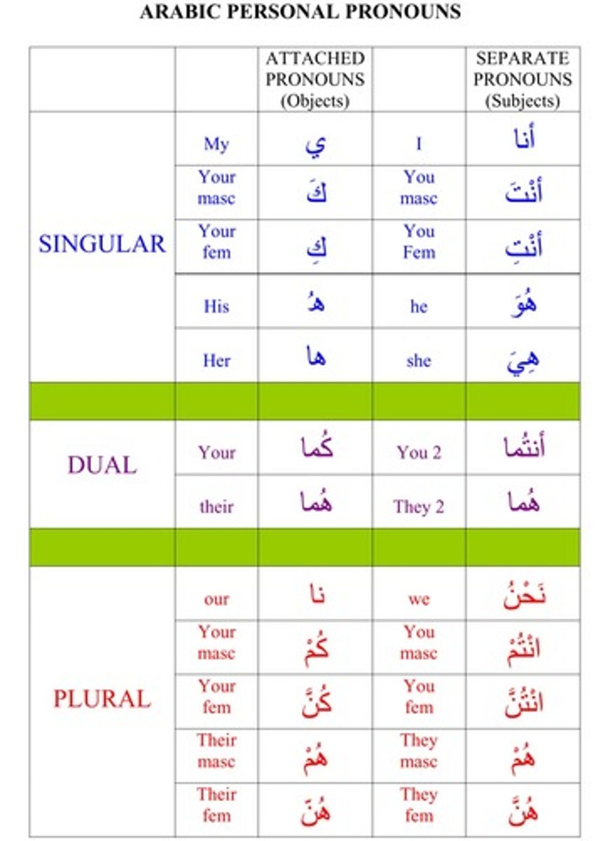 <p>Attached and separate pronouns</p>