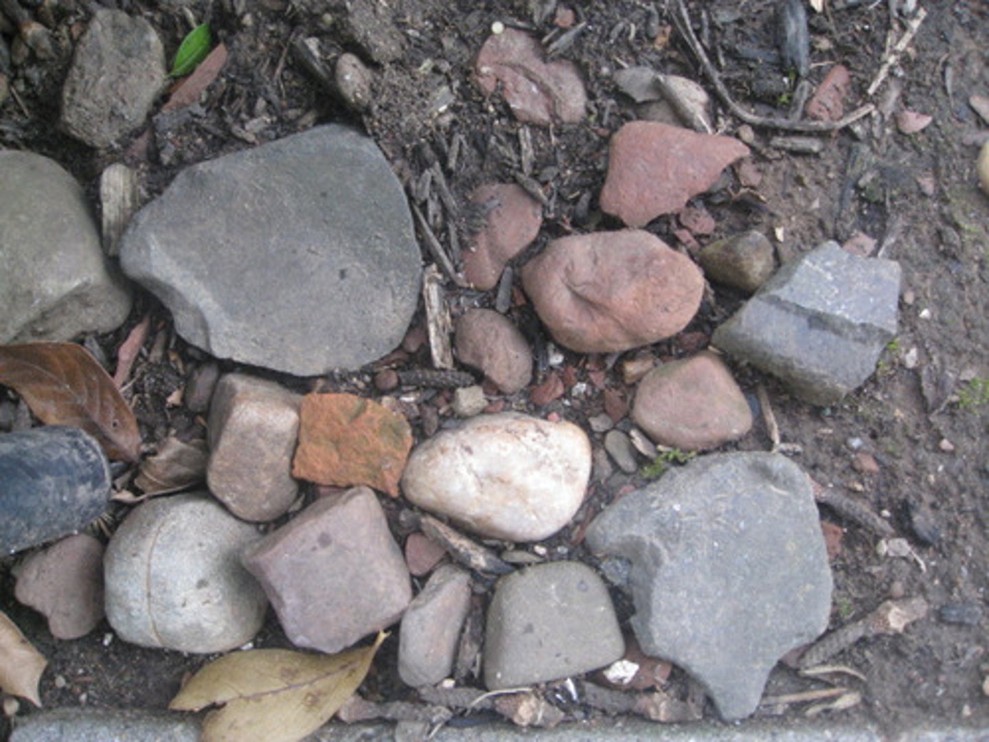 <p>part of the ecosystem that is NON living (examples: air, soil, weather, temperature, pH, etc.)</p>