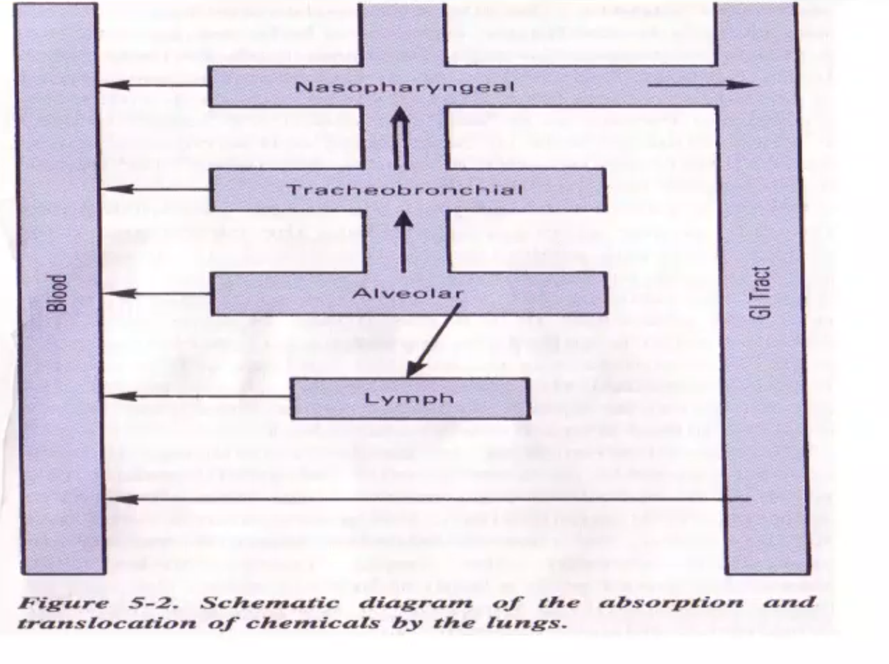 <p>what does this diagram tell you?</p>