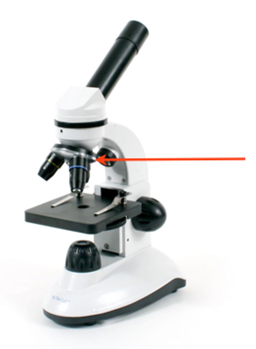 <p>DEFINITION</p><p>hold the objective lenses and allows them to be changed</p>