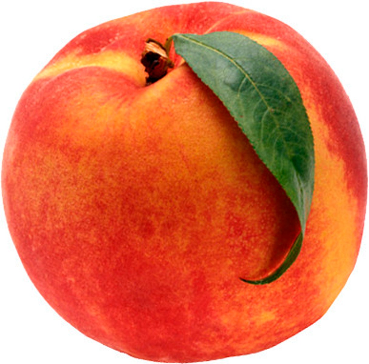 <p>peach</p>