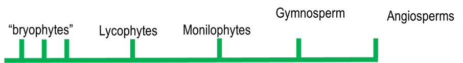 <p>In the simplified tree, which group is most dependent on water for both sex and growth?</p>