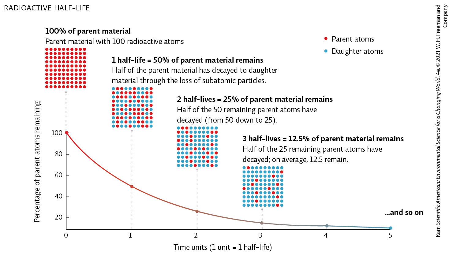 <p>Refer to infographic 5. If the half-life of a certain radioactive isotope is 5 years and 100 atoms of parent material exist in the original sample, how many parent atoms will be present in the sample after 10 years?</p><ul><li><p>100</p></li><li><p>75</p></li><li><p>50</p></li><li><p>25</p></li><li><p>0</p></li></ul><p></p>