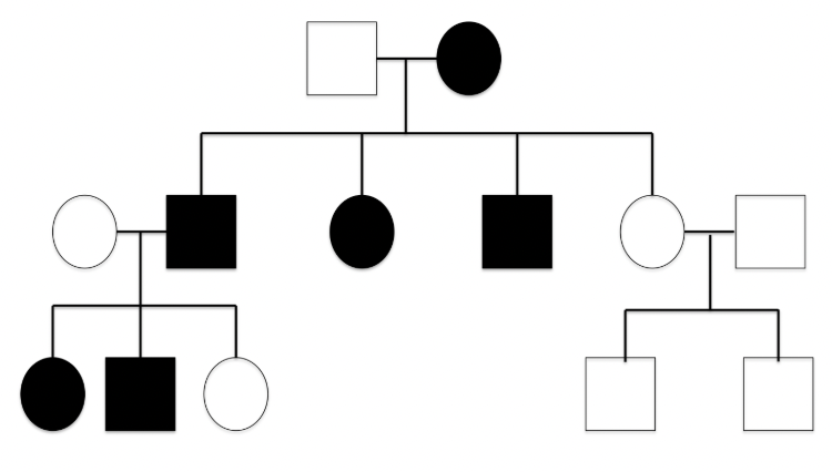 <p>disease is common in the family, it never skips generations and males &amp; females are equally likely to inherit this disease</p>