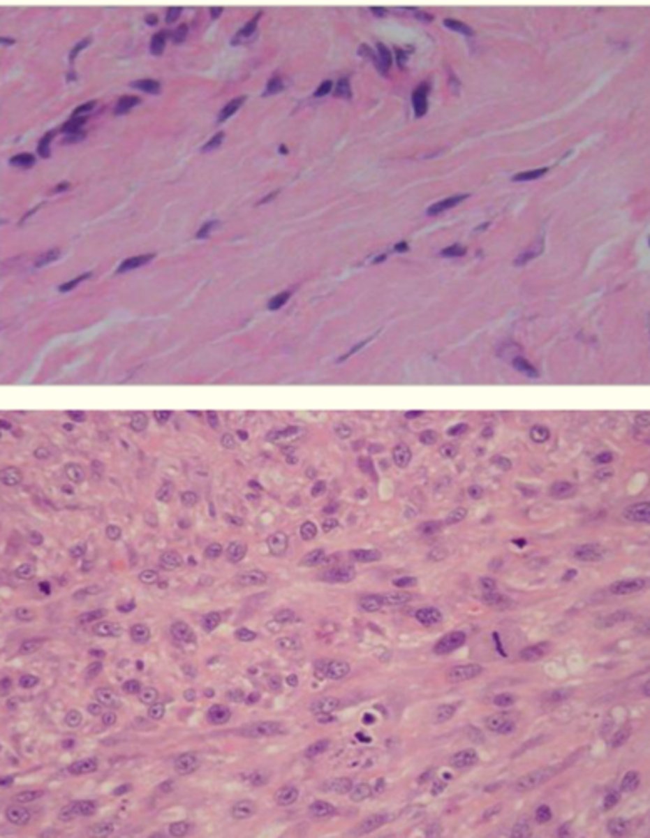 <p>What is the photo displaying?</p>