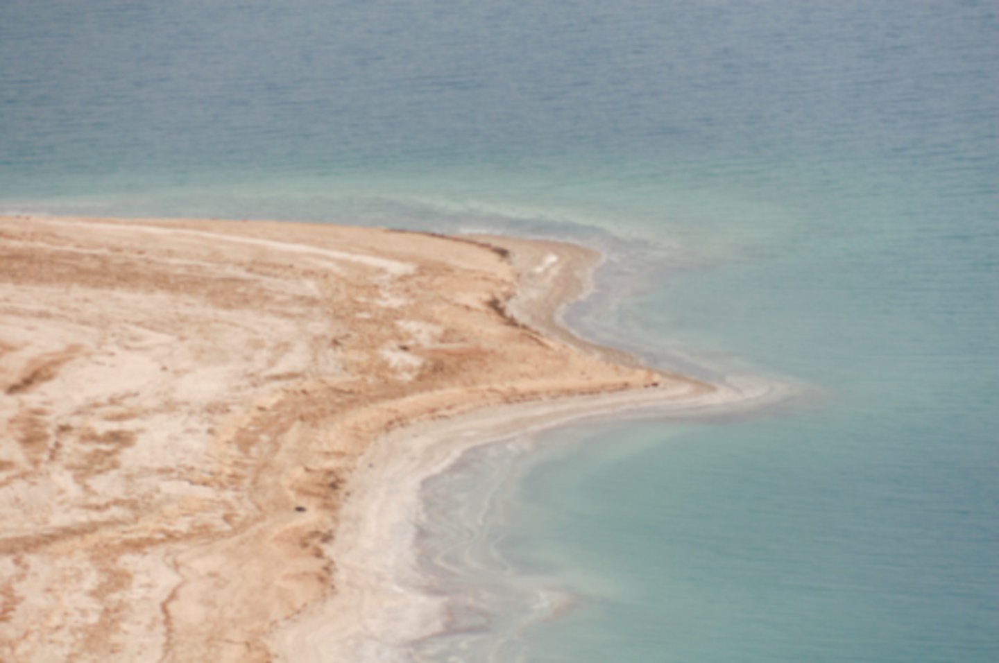<p>halophiles</p><p>(Note: salt lovers)</p>