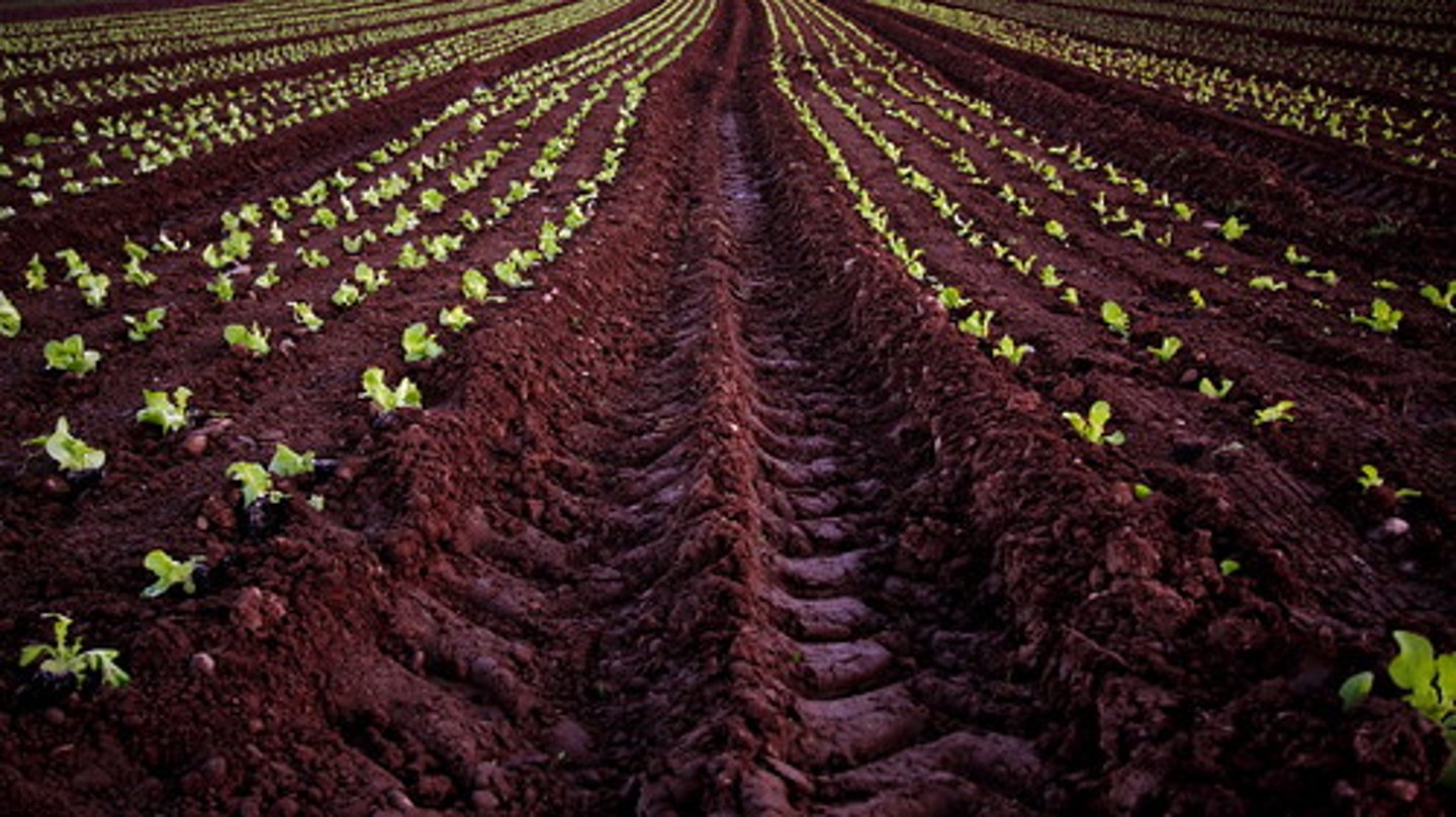 <p>land, country, ground</p><p>deriv: terrain</p>