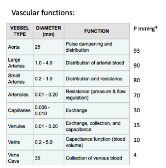 <p>arterioles</p>