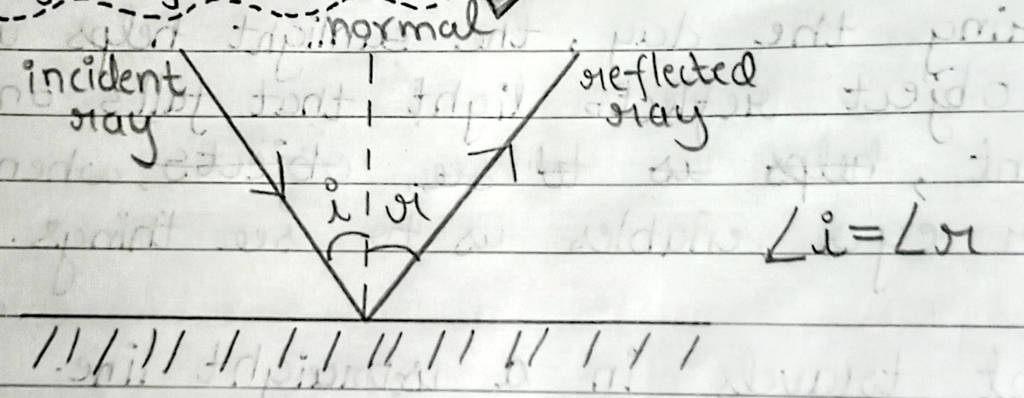 <p>1. The angle of incidence is equal to the angle of reflection.<br>2. The incidence ray, the reflected ray, and the normal to the mirror at the point of incidence all lie in the same plane.</p>