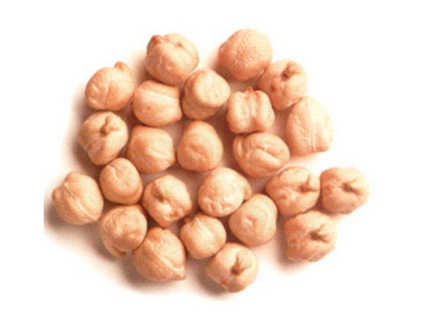 <p>chickpeas</p>