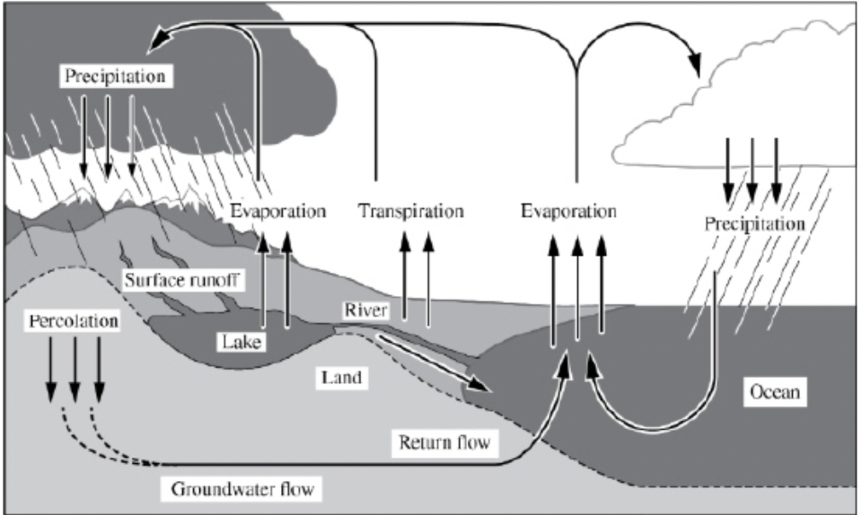 <p><span>Based on the diagram, which of the following statements about the hydrologic cycle is true?</span></p>