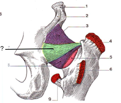 <p>Nom et caractéristiques de cette structure ?</p>