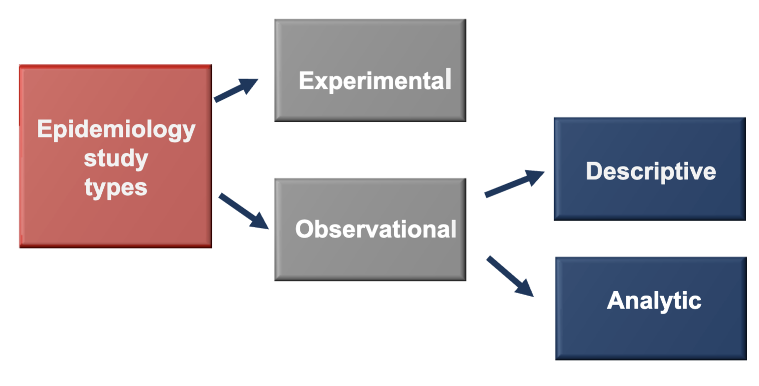<p>Analytic and Descriptive</p>