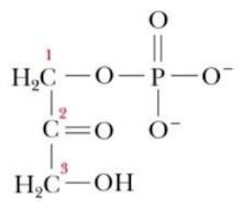 <p>Name that structure.</p>