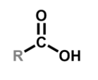 <p>R= H or any carbon group</p>