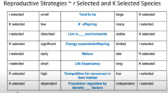 most organisms do not fit into the box of r or k startegists
r strategists= high growth rate
k strategists= slowly increasing populations that hover around carrying capacity (k)