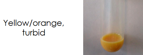 <p><span style="font-size: calc(var(--scale-factor)*39.96px)">Abdominocentesis</span><br>Colours</p><p>What does this mean?</p>