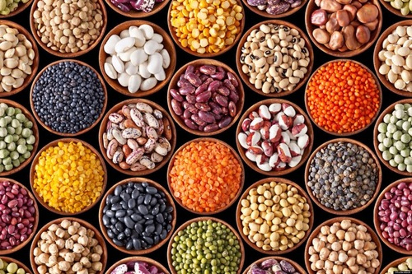 <p>legumes (beans, chickpeas, lentils)</p>