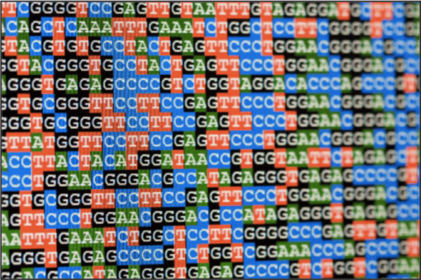 <p>All the genetic information in an organism</p>