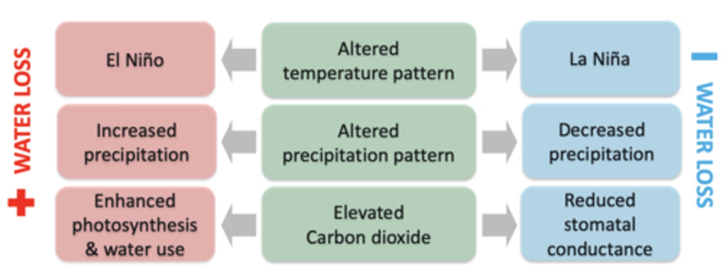 <p>- Effects of multiple countering processes accumulate</p><p>- Polarized pattern resulting from climate changes (e.g., more precipitation in wet watersheds, while less in dry watersheds)</p>