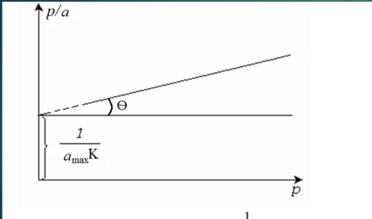 <p><span>Строят график в координатах p/A = f(p). Котангенс наклона – A<sub>max</sub>, а отрезок, отсекаемый на ординате, будет равен величине 1/(</span>A<sub>max</sub>*K<span>).</span></p>