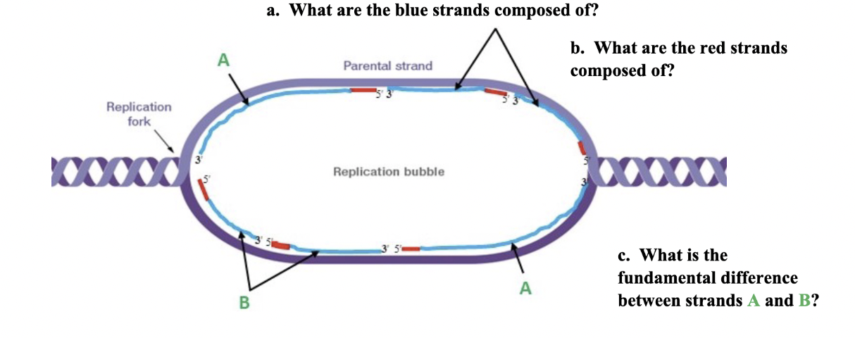 <p>Label each section and answer the questions</p>