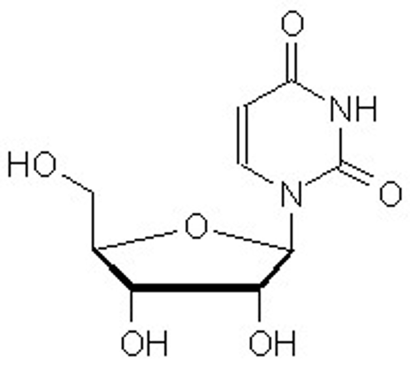 <p>nucleoside</p>