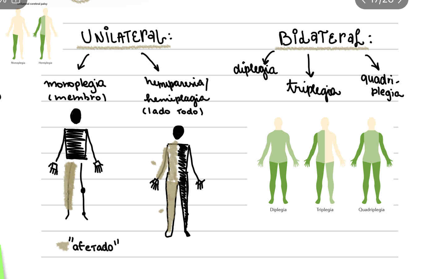 knowt flashcard image